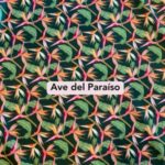 Ave del Paraiso