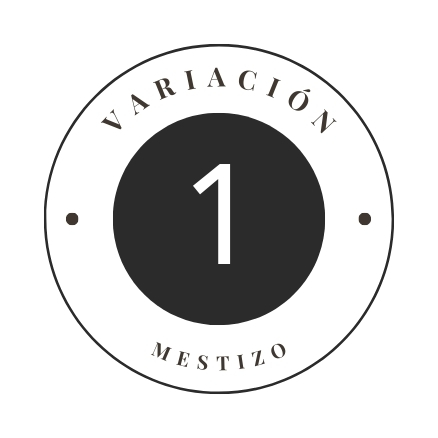 Variante 1
