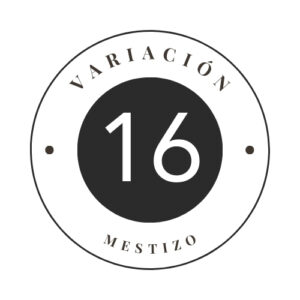 Variante 16