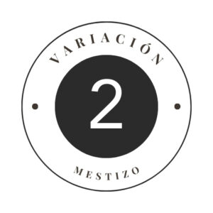 Variante 2