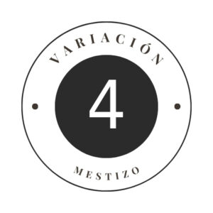 Variante 4