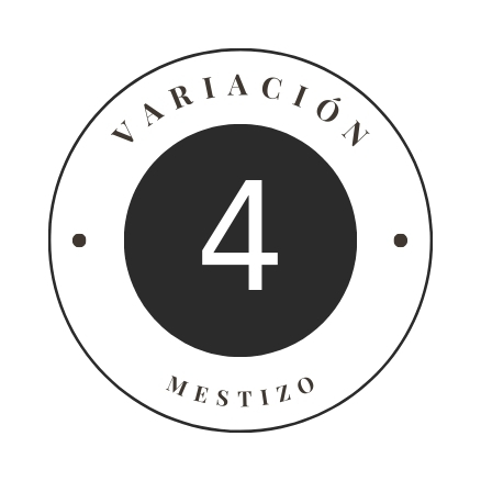 Variante 4