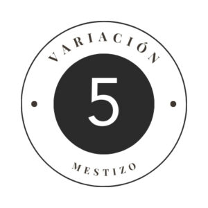 Variante 5