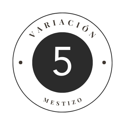 Variante 5