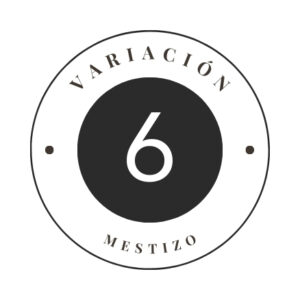Variante 6