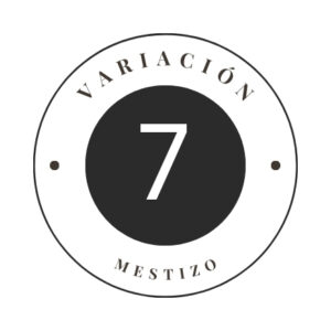 Variante 7