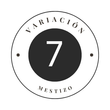 Variante 7