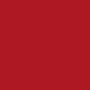 Rojo Vino S0398