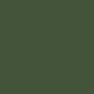 Verde Musgo S0356